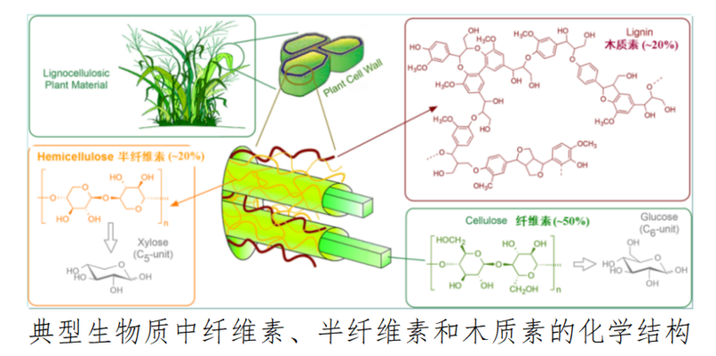 生物质定向转化制乳酸等重要化学品