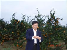 刘康林