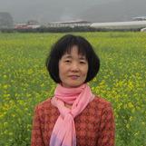陈申如