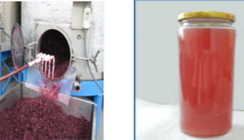 一种高钙高多酚含量山葡萄酿酒皮渣醋的酿制方法