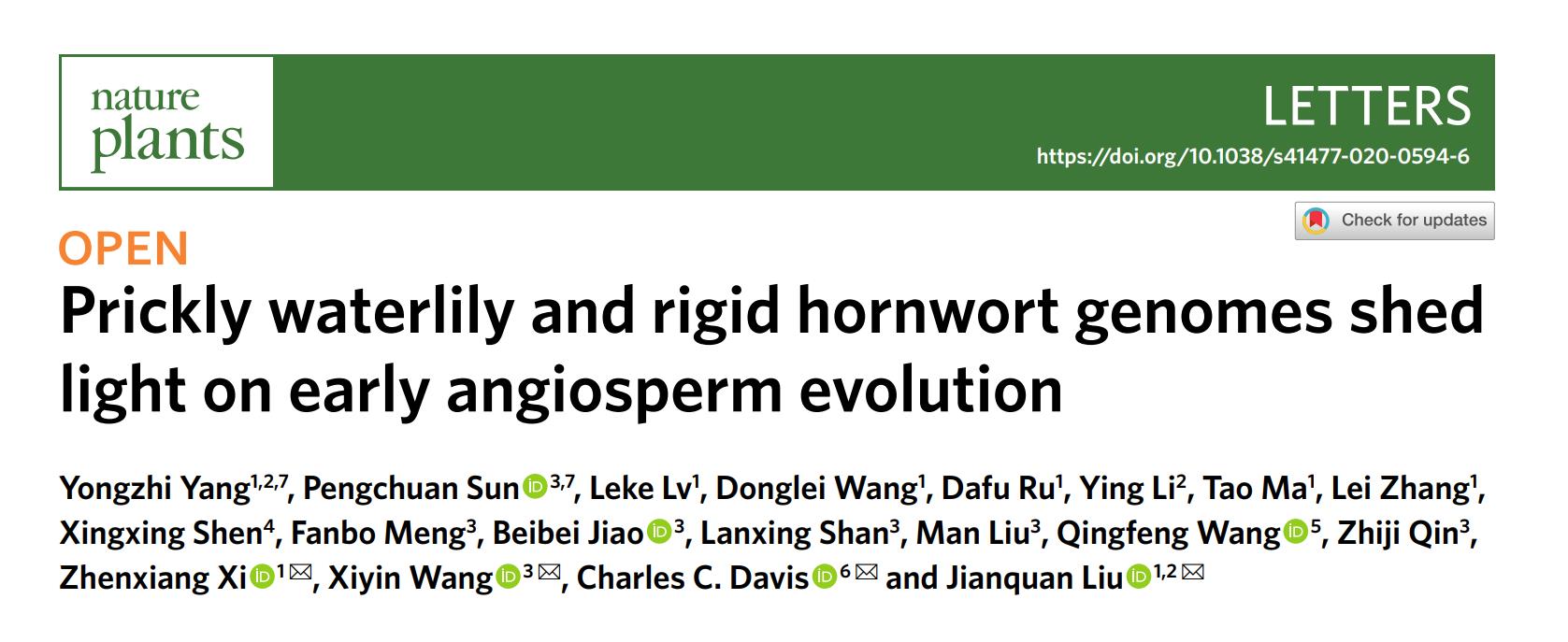 waterlily and rigid hornwort genomes shed light on early